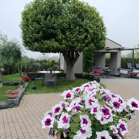 La Casa Dell'alloro Nocleg ze śniadaniem *